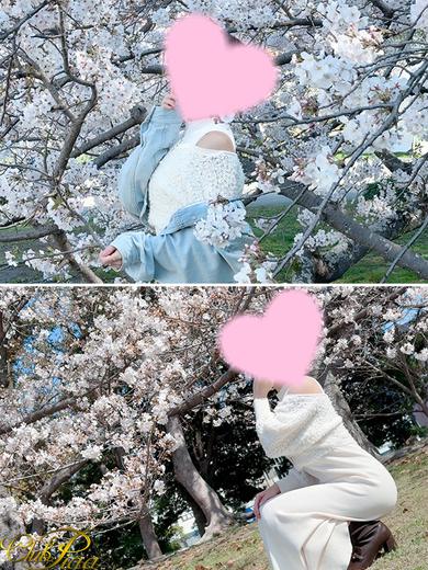 桜花☆(おうか)
