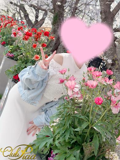 桜花☆(おうか)