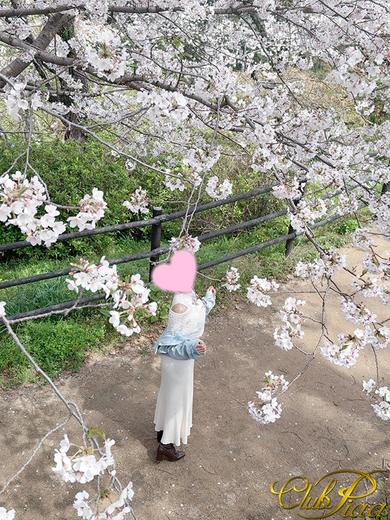桜花☆(おうか)