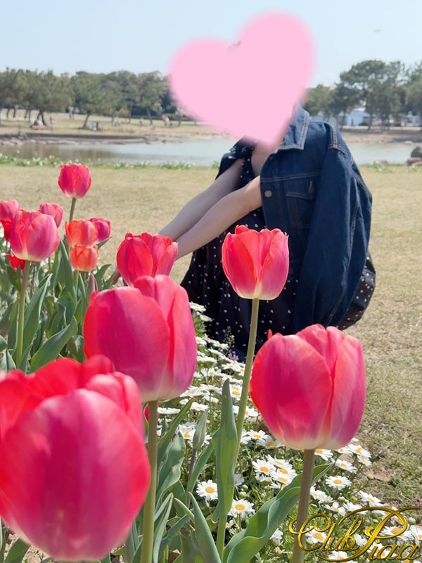 桜花☆(おうか)